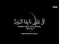 أرح سمعك.. تلاوة هادئة تريح القلب والعقل💛😴 | ساعة كاملة🕛🎧 القارئ محمد هشام | Mohamed Hesham
