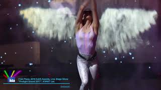 Celebrity 2018 ILDA Awards compilation video Profile