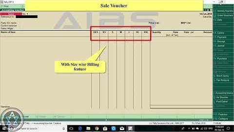 Garment Module in Tally ERP 9 (Promo) - Size wise Color wise billing - Stock &  Order Management