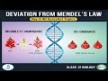 Deviation from Mendel’s Law Day-9 40 Days 40 sureshot topics Class 12 Biology #incompletedominance