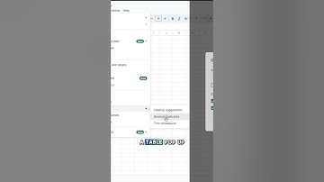 REMOVE DUPLICATES LIKE A PRO in Google Sheets!
