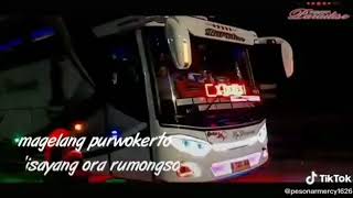STORY WA BUS PO HARYANTO 'Paradise'