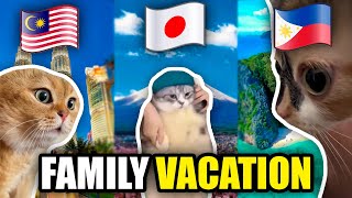 CAT MEMES: THE ULTIMATE FAMILY VACATION FULL COMPILATION
