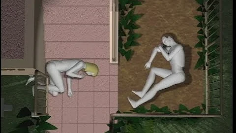 OJ Simpson: The Homicides -- Animation - Knife Wounds & More (No Audio)