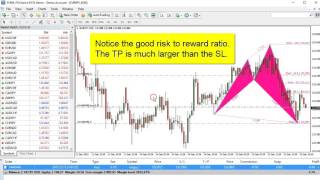 MQL Harmonic Indicator For MT4