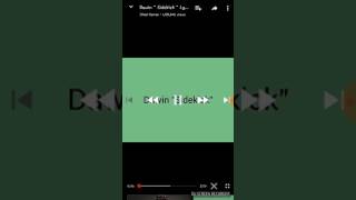 DAWIN-Sidekick with lyrics