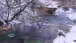 The Magic of Spring Creeks
During the winter in Wyoming have you ever noticed an ice free stream filled with green plants? This is likely a spring creek. Spring creeks have a fascinating natural history and provide unique habitat for both plants and animals. The Magic of Spring Creeks