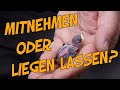 Amsel gefunden: Was tun?