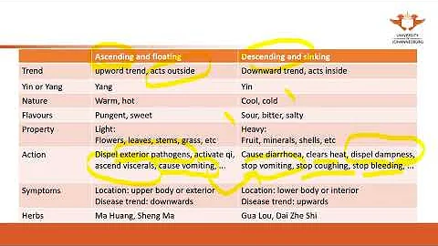 243. UJ online lectures:9  General Introduction Adfs