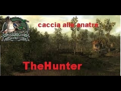 SCARICA GIOCHI DI CACCIA ALLE ANATRE GRATIS DA