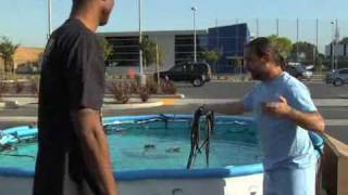 Kobe Bryant Jumps Over Pool w/ Snakes (Black Mambas?)