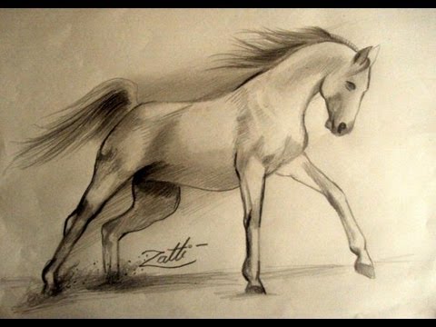 como desenhar um cavalo realista - speed drawing - Curso de