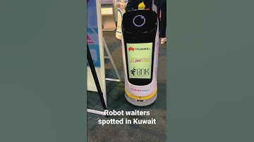 Robot waiters
