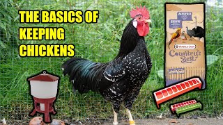 The 5 things you need for keeping chickens