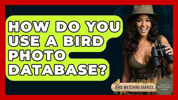 How Do You Use A Bird Photo Database? - Bird Watching Diaries