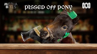 Pissed Off Pony | Media Bites