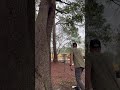#mvpdiscsports #lifeisbutadream #flightfactory #discgolf #trashpanda