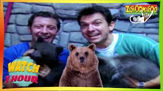 Zoboomafoo with the Kratt Brothers! HD | Full Episodes Compilation