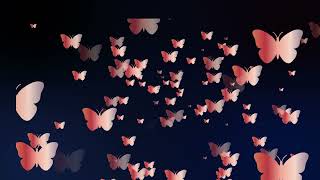 Colorful Butterfly (Adventurous Reds Theme) Particle Background | Relaxation | Screensaver | VJ Loop