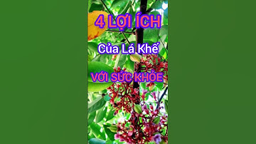 4 Lợi Ích Bất Ngờ Của Lá Khế Có Thể Bạn Chưa Biết #dinhduong #health #suckhoe