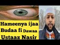 Hammeenya Ija Namaa Ykn Budaan Namarran Gahuu Fi Dawaa Isaa Ustaaz Nasir Hamza 
