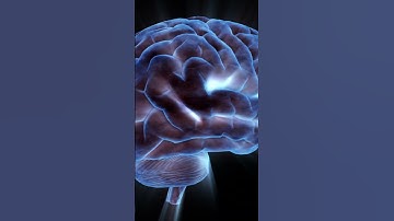 Did lots of sleep make Albert Einstein so smart?