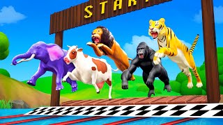 Balapan Renang Hewan Kebun Binatang - Gajah, Singa, Sapi, Gorila, Harimau, Rubah | Kartun Hewan 3D Lucu