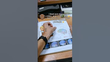 Transparent Sticky Notes 📚 #popnotes #fyp #viral