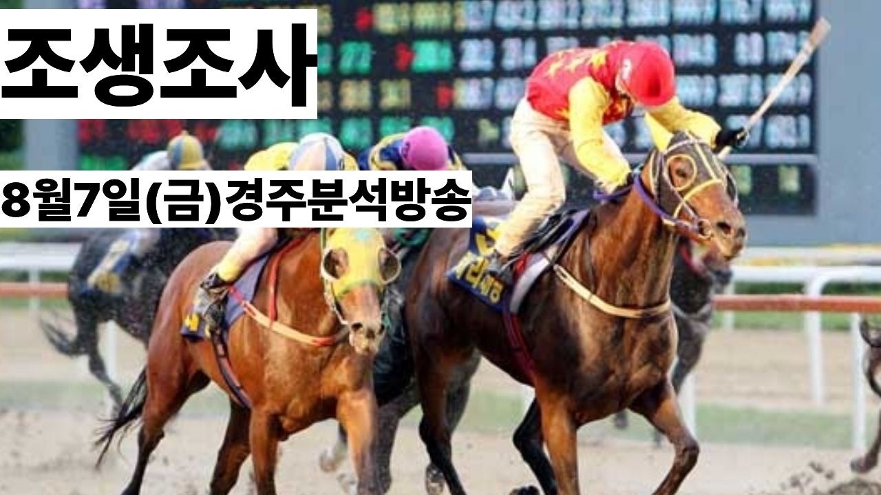 조생조사(8월7일,금요경마 분석방송)