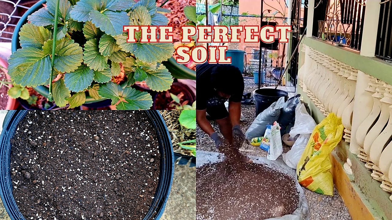 How I Make The Perfect Soil Mix For My Container Garden # ...
