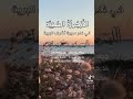 زوجاته أحدى عشر صلى الله على سيدنا محمد الظاهر العفيف 