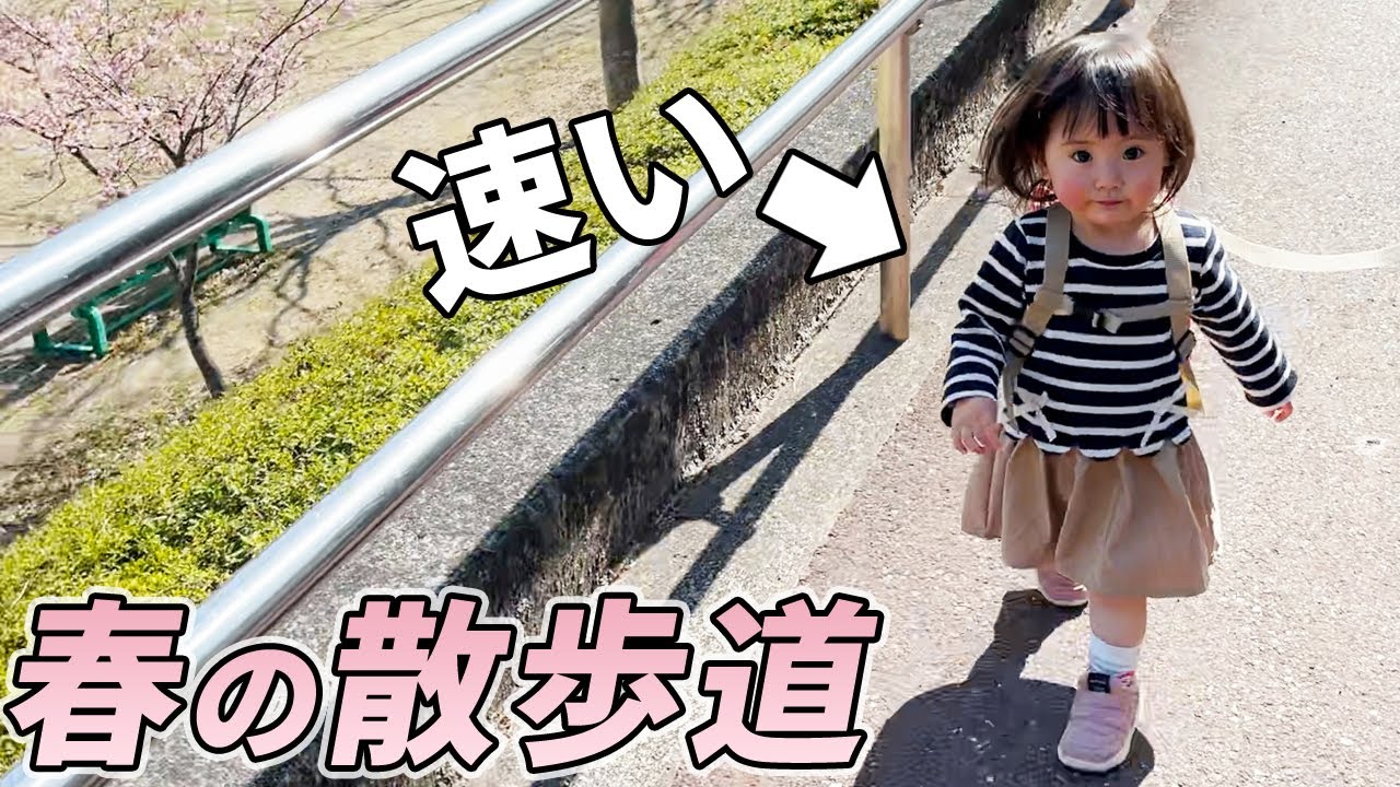 暖かい春の公園を家族でのんびり散歩する