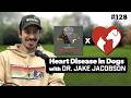Heart Disease in Dogs: Veterinary Cardiologist Explains Symptoms, DCM, Heartworms &amp; Treatment