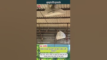 MẸO XÀI QUẠT KHỎI CẦN VỆ SINH!?🤣😂#thichlalam #haihuoc #xuhuong