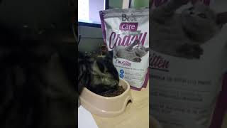 Сухой корм для котят от 1 до 12 месяцев Brit Care Crazy Kitten