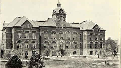 Mud Flood (OFFICIAL MUSIC VIDEO)