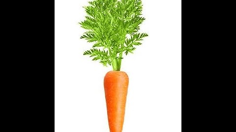 Bài thơ : CỦ CÀ RỐT - BY ASC KINDERGARTEN