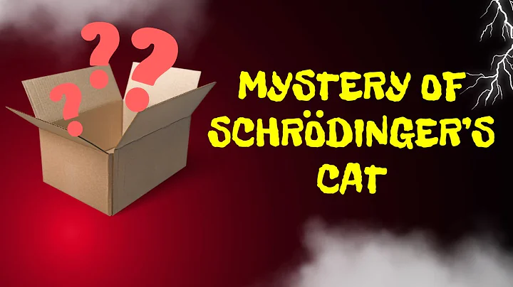 Unspoken Secrets of Schrodinger's Cat