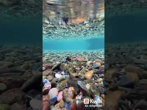 فيديو: كيف تقوم بالتصوير المائي؟