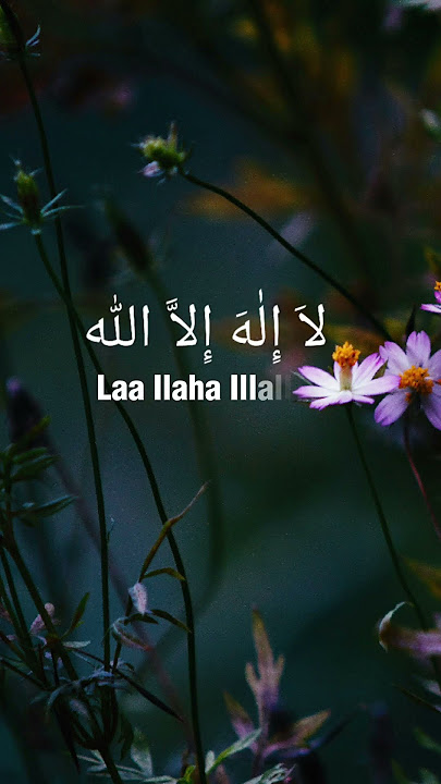 Alhamdulillah ✨ #alhamdulillah #dailydzikir #amalan