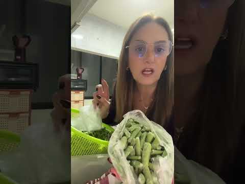 يوميات اوبي تفريز لوبيا اكسبلور