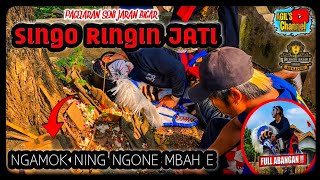 🔴 NGAMOK NING PEDANYANGAN 👹 REOG EYANG RINGIN JATI FEAT GONG BRUTAL || @agilschannel7152 #senireog