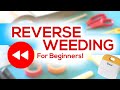 REVERSE WEEDING FOR BEGINNERS | BEGINNER CRICUT TUTORIAL