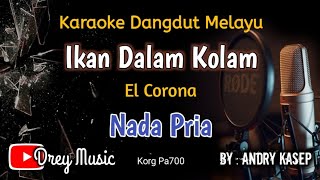 Ikan Dalam Kolam Karaoke/Nada Pria/El Corona/Tanpa Vocal/@dreymusic6402