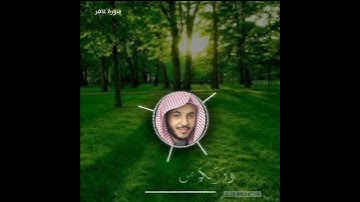 حالات واتس اب القارئ أحمد العبيد/ الله الذي جعل لكم الأرض قراراً /