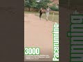 #motivation #runing #achrol #100m #200m #400m #600m#3000m#Achrol#BBA