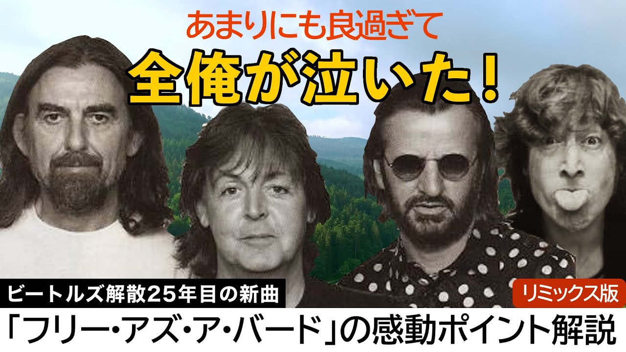 【ビートルズ】久しぶりにフリー・アズ・ア・バードのMVを観たら涙したので、個人的な感動ポイントをシェアします。