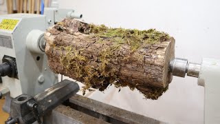 Woodturning - I turn a log of elm into a vase ! Новая Жизнь Старого Пня !