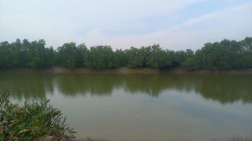 Chia sẻ điểm câu ở An Thới Đông - Cần Giờ