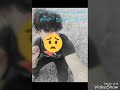 مشتاق اروح للنجف حبايب كلبي الرابط قناتي الثانيه افتح بث نشالله بيه احبكم وربي اشتركو بيه عليك الحسي 